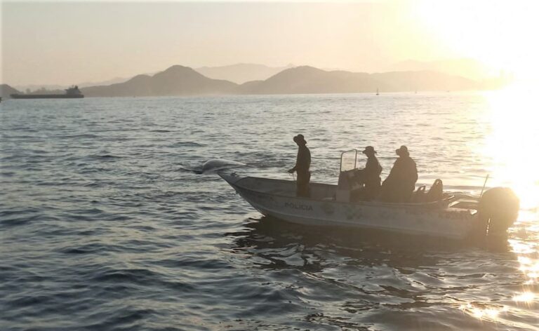 Policiais militares foram fundamentais para o encaminhamento correto dos gigantes do mar - Foto: PM Ambiental
