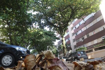 Trabalho foi precedido de vistoria que analisou situação de cada espécie da via