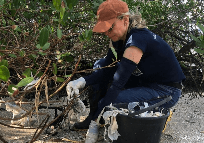 A Semana de Limpeza dos Manguezais celebra o Dia Mundial de Proteção aos Manguezais, comemorado em 26 de julho, e reforça o compromisso do município com a conservação ambiental e a participação da sociedade civil em ações de educação e mobilização ecológica - Foto: André Santos/PMSS