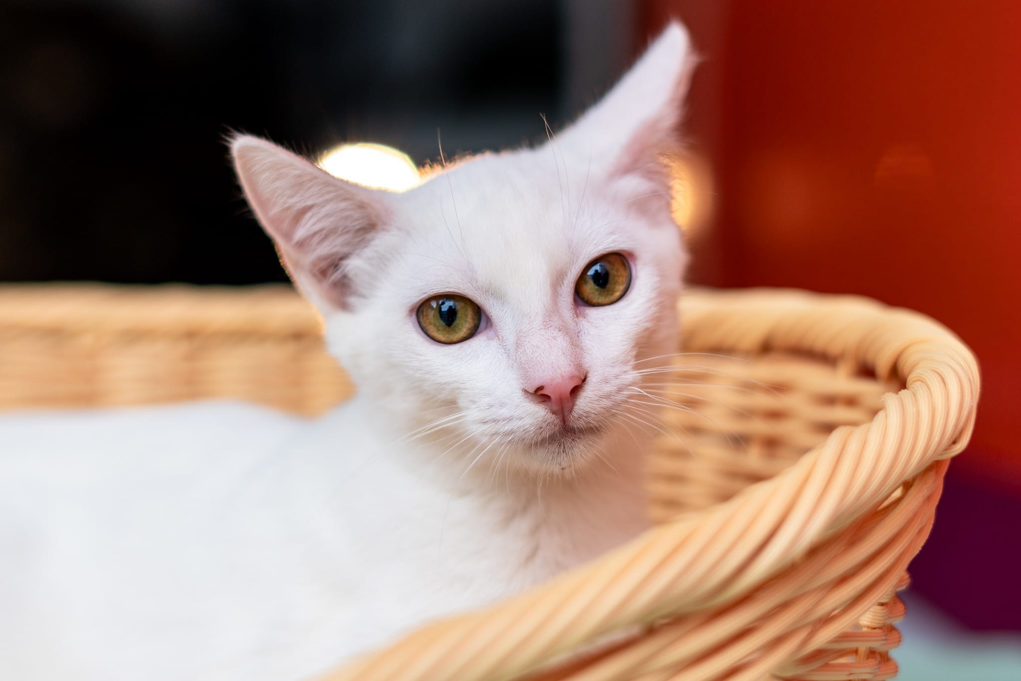 Foto: Joanderson Piropo.