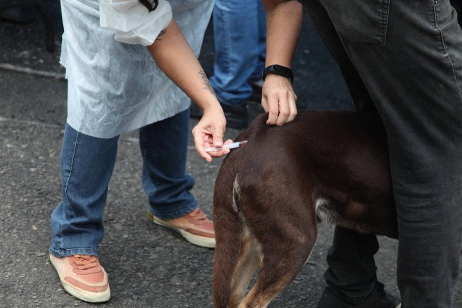 Vacinação ocorre toda quarta-feira, das 9h às 12h, na Av. Rangel Pestana, 96 – Vila Mathias
