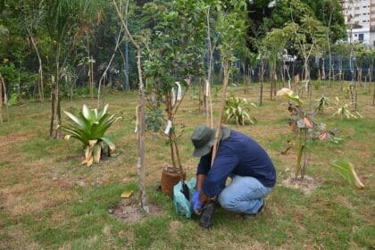 A introdução dos vegetais nas vias faz parte do Programa ‘Santos Sustentável’