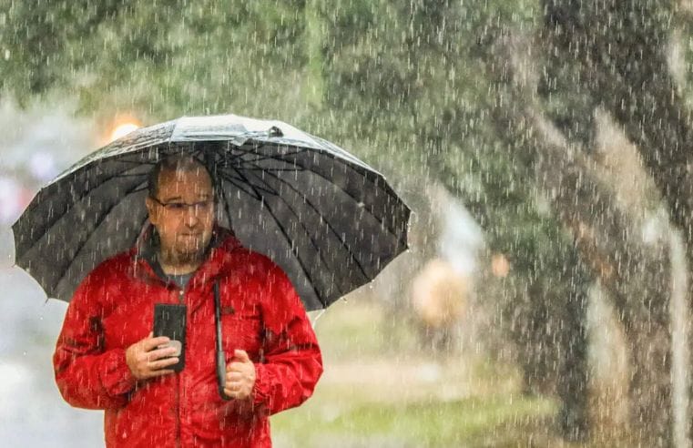 #pracegover Primavera