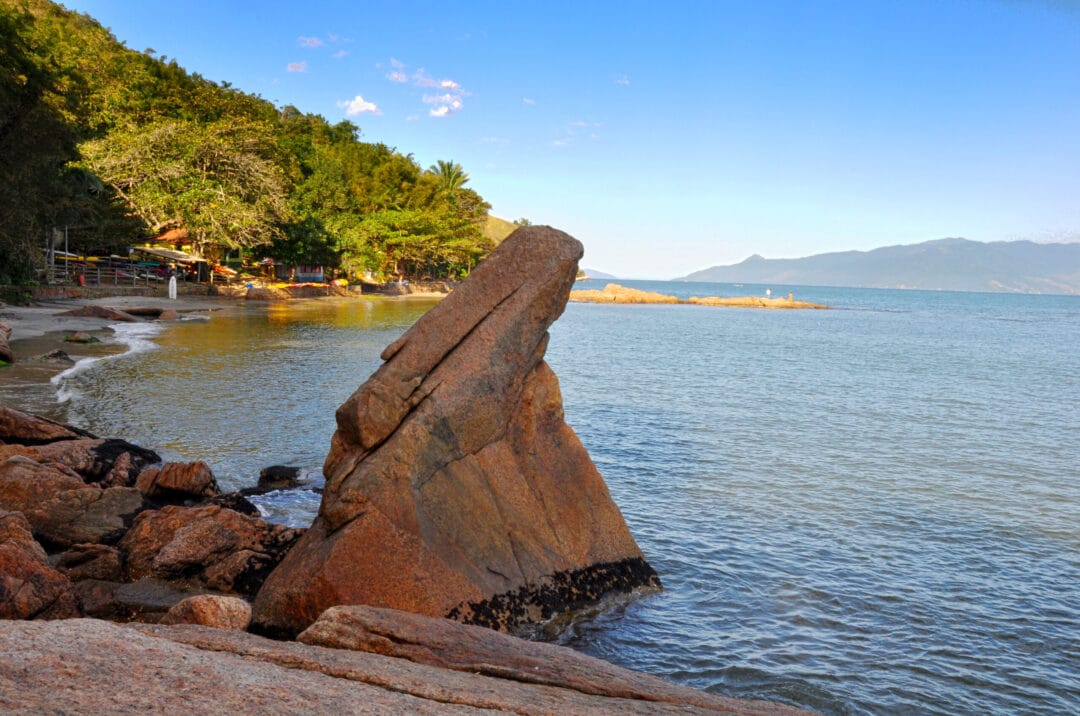 A votação popular está aberta e segue até o dia 15 de outubro