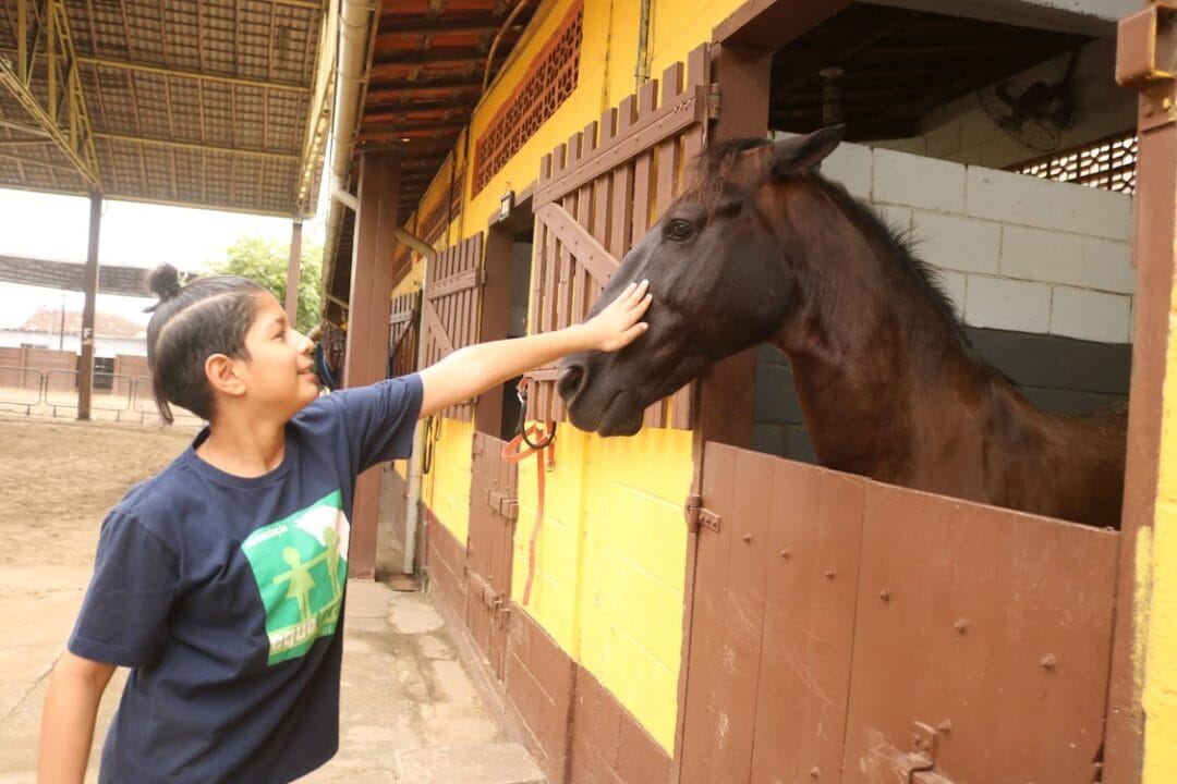 Os interessados na prática da equoterapia devem procurar a Associação Equoterapia