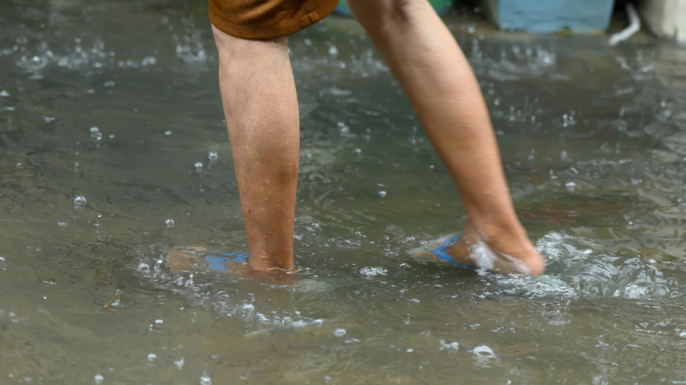 Alerta da Prefeitura de Caraguatatuba sobre os riscos da leptospirose em períodos de enchentes