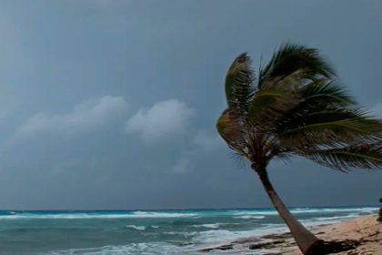 Chuva intensa provoca alagamento em cidade do litoral paulista durante alerta vermelho.