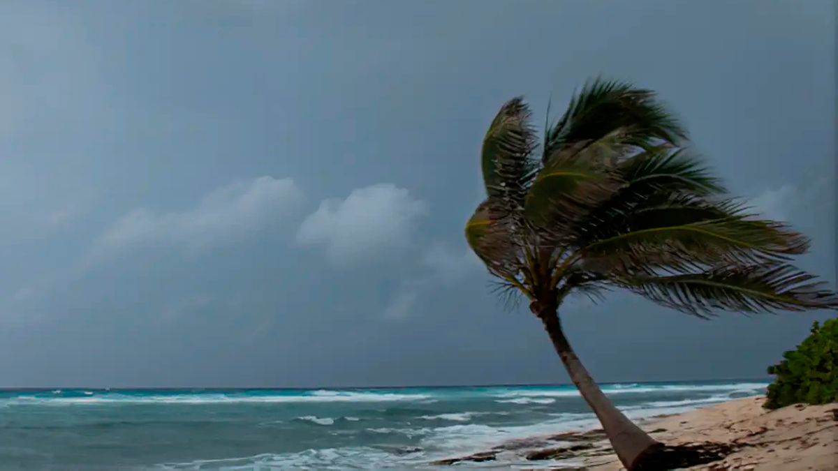 Chuva intensa provoca alagamento em cidade do litoral paulista durante alerta vermelho.