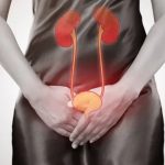 Ilustração dos rins destacando infecção urinária avançada e pielonefrite