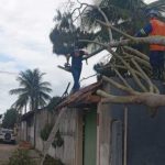 Equipes da Defesa Civil de Caraguatatuba durante resposta à ventania