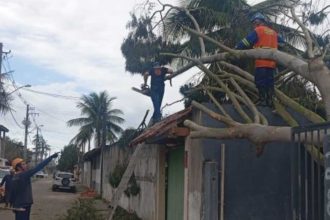 Equipes da Defesa Civil de Caraguatatuba durante resposta à ventania