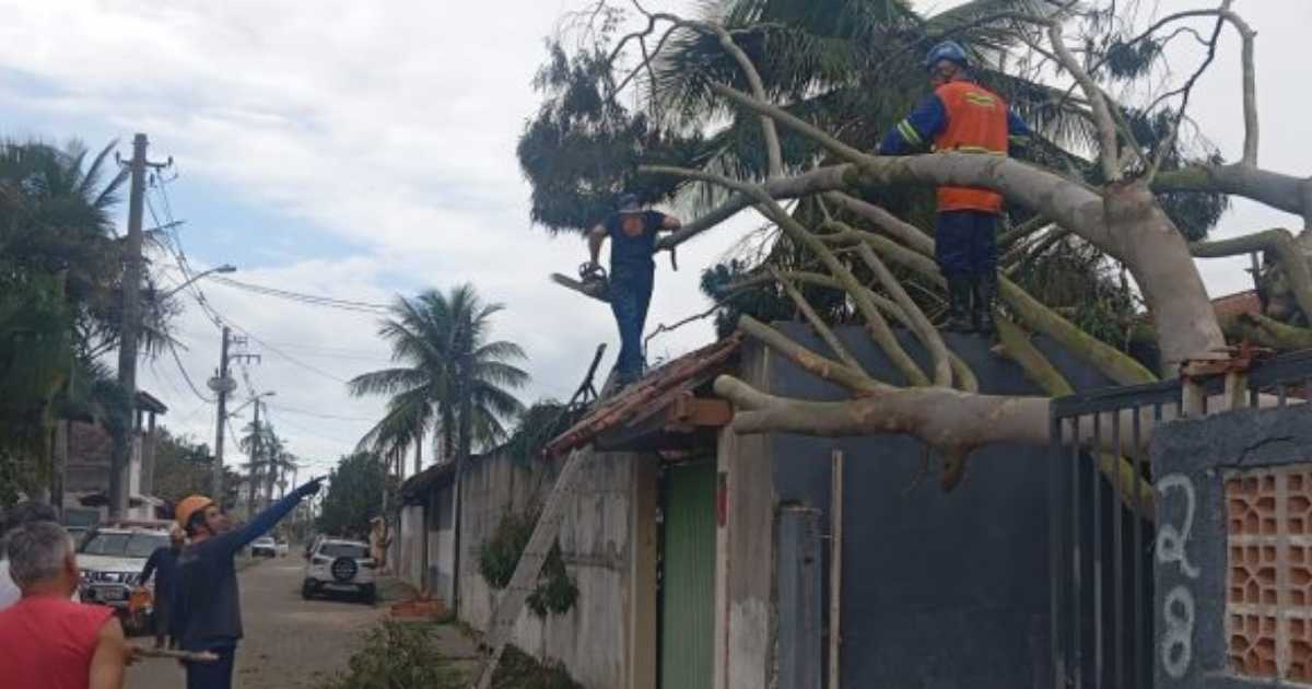 Equipes da Defesa Civil de Caraguatatuba durante resposta à ventania