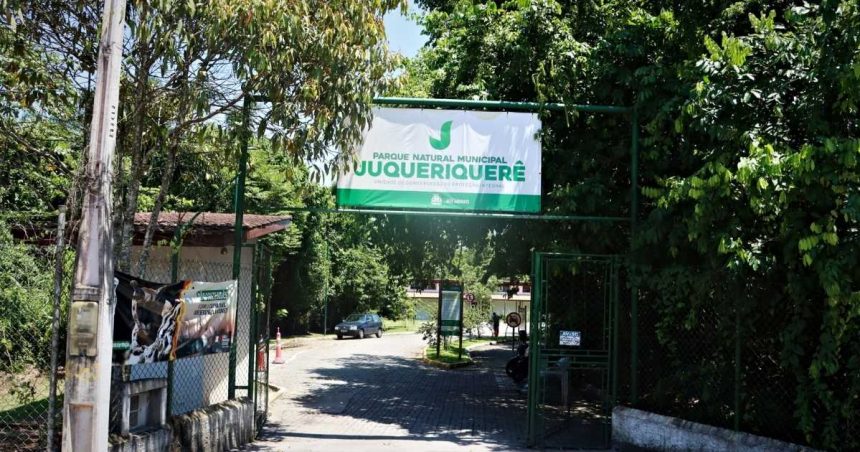 Voluntários participam de atividade de educação ambiental no Parque Natural Municipal do Juqueriquerê, em Caraguatatuba